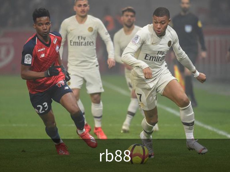 RB88.(中国区)官方网站